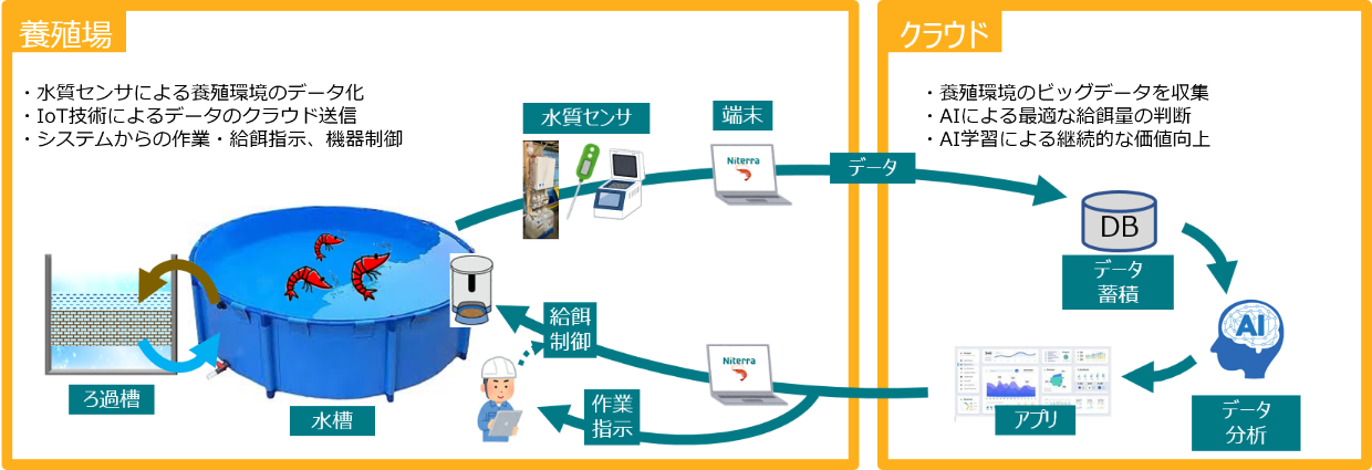 陸上養殖システム概要図