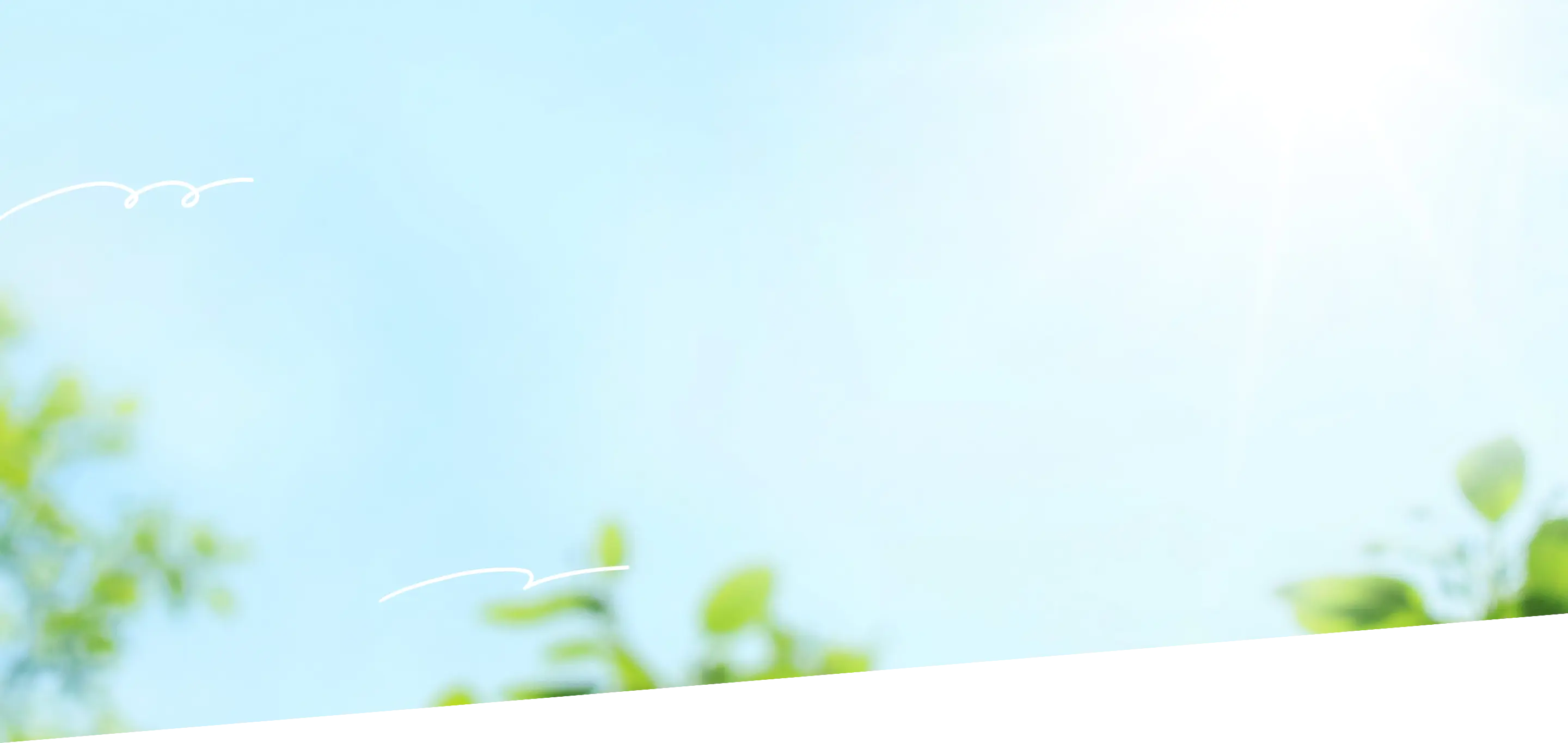 地球を輝かセラミック！CM特設サイト