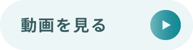 動画を見る