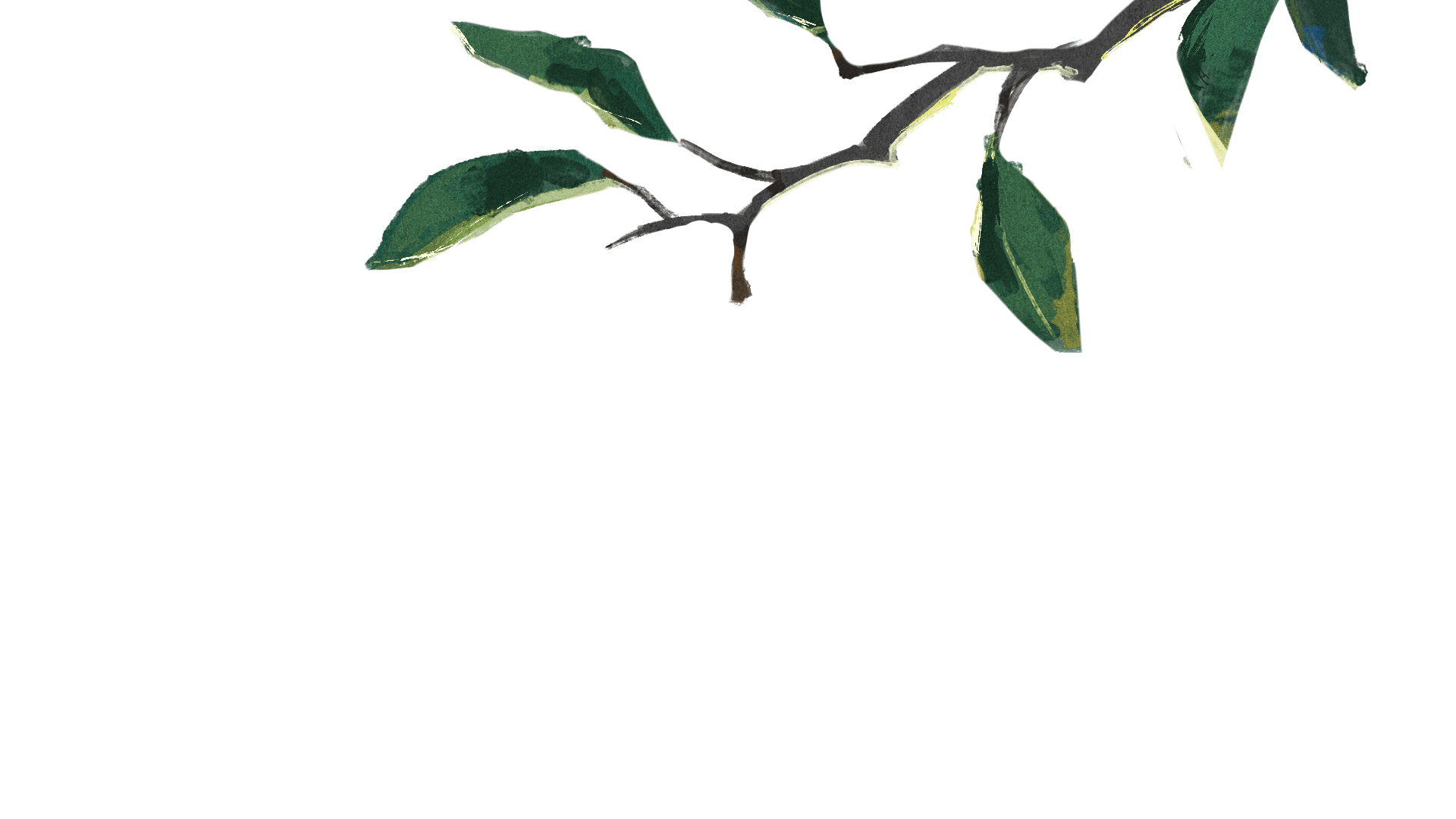 枝 イラスト