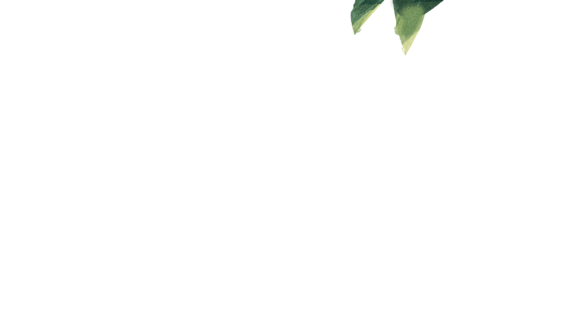 葉っぱ イラスト