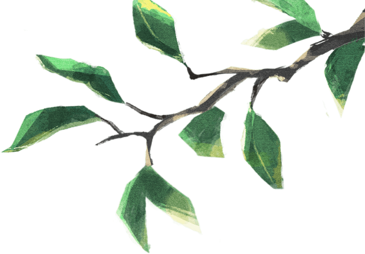 枝 イラスト