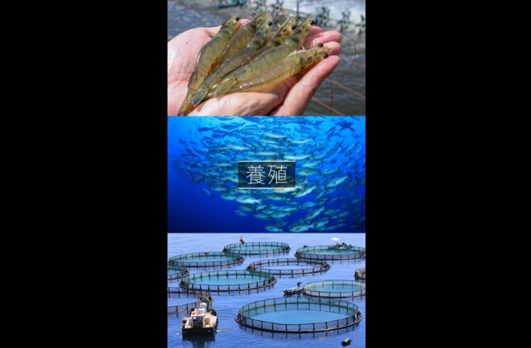 Water quality sensing